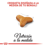 FBN BENGAL - CROQUETA.png